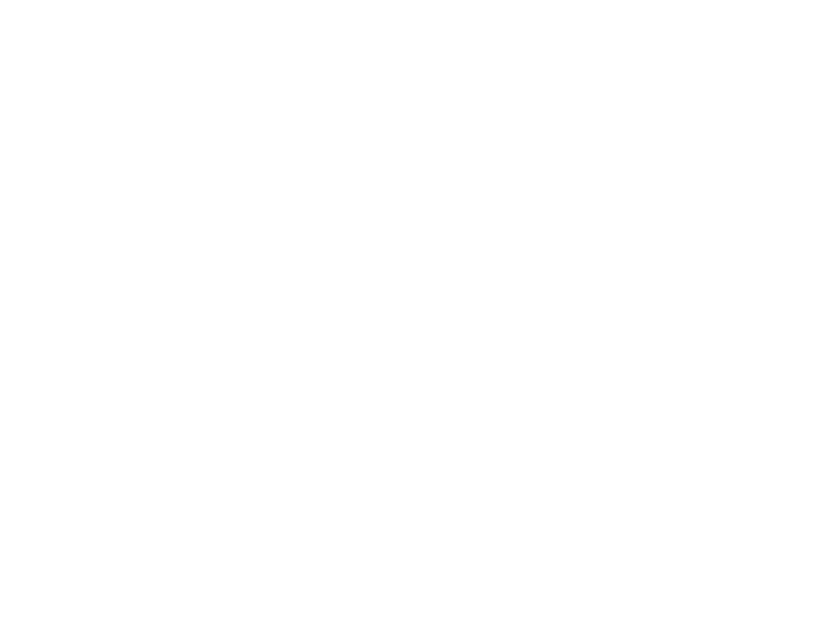 skyship impex logo (white)