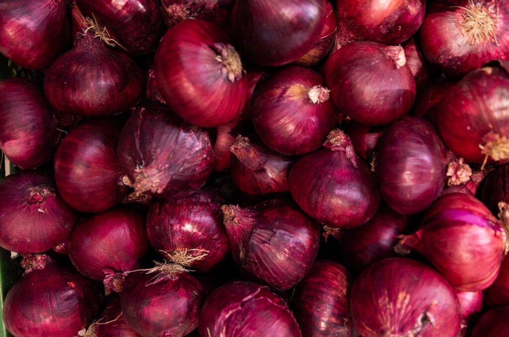 red onions in a bunch at background. vegetable close up, salad ingredient